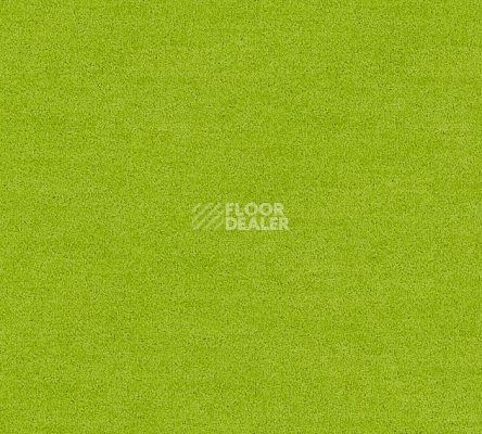 Ковровая плитка Interface Polichrome Solid 4266016 Daiquiri фото 1 | FLOORDEALER